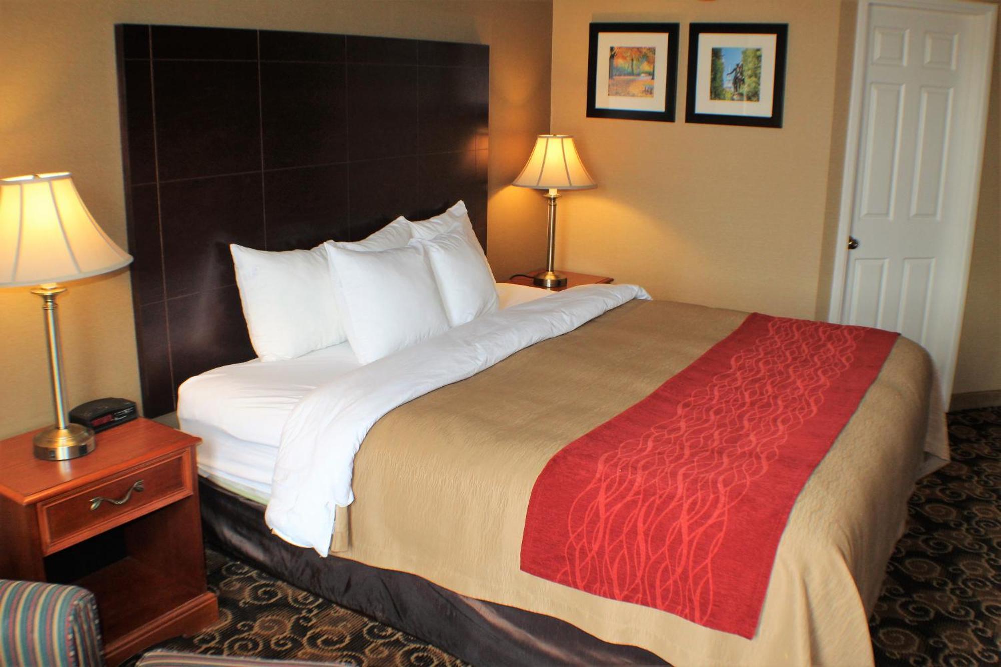 Comfort Inn Rockland - Boston Esterno foto