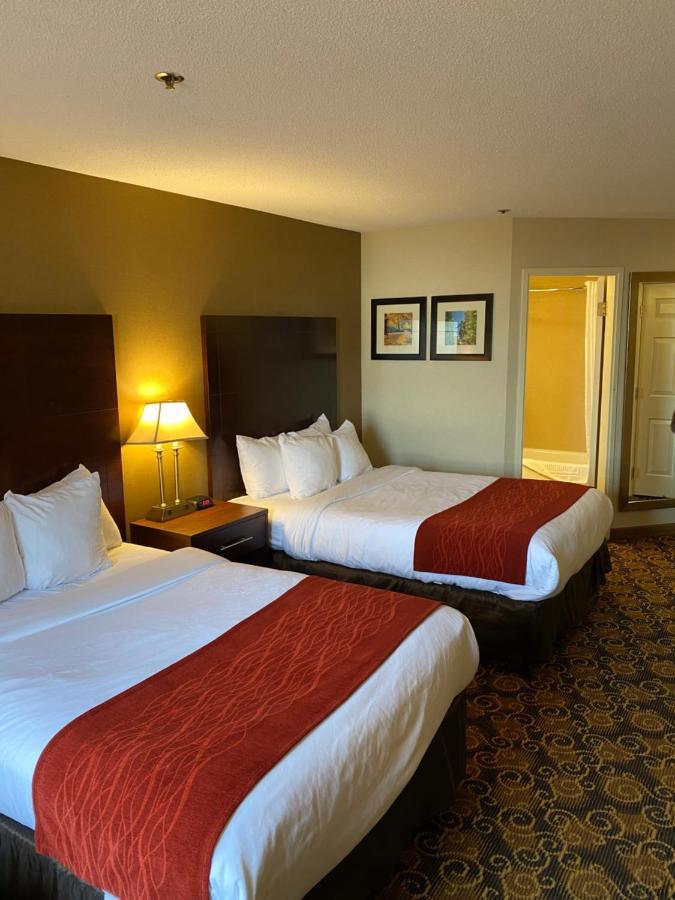 Comfort Inn Rockland - Boston Esterno foto